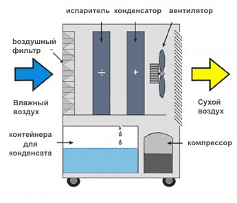 Master DH 26